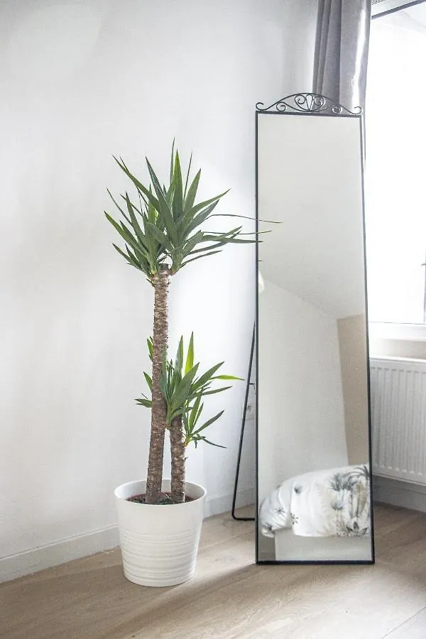 Nsd Home Антверпен